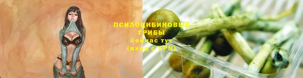 стафф Навашино