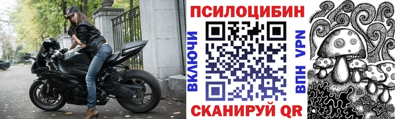Купить где  Нижнеудинск  Псилоцибиновые грибы прущие грибы 