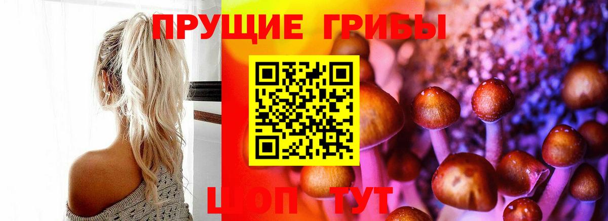 Псилоцибиновые грибы MAGIC MUSHROOMS  Нижнеудинск 