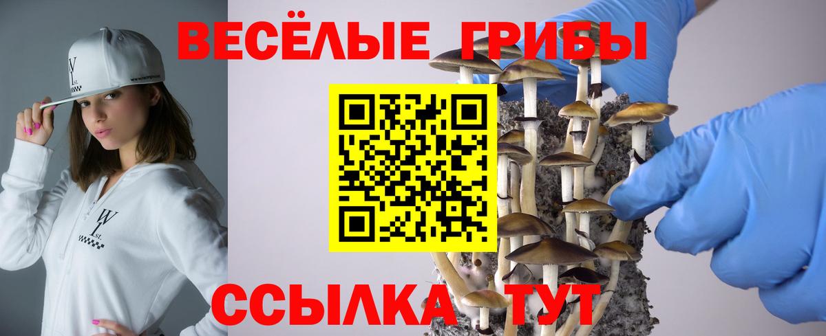 Нижнеудинск  Галлюциногенные грибы прущие грибы  Вход с VPN  Псилоцибиновые грибы GOLDEN TEACHER 