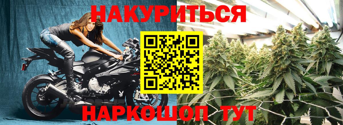 Канабис OG Kush Нижнеудинск